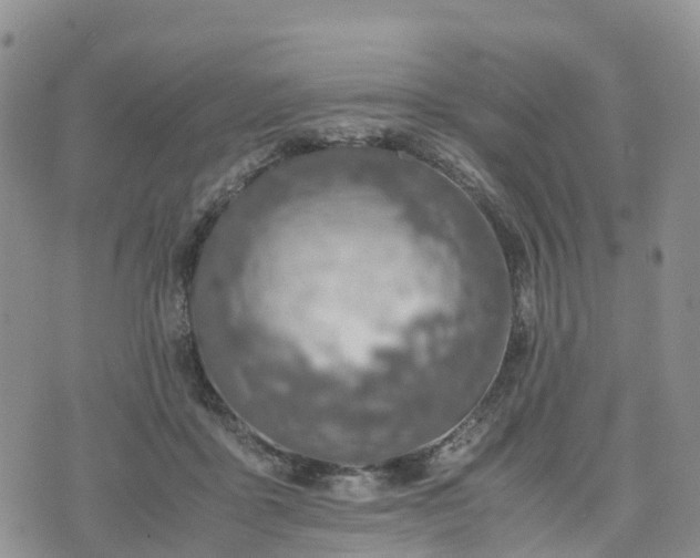 X0000074330411200609011608
