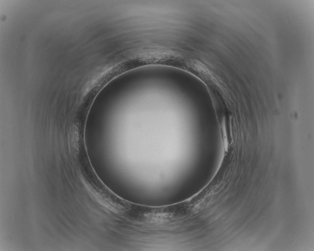 X0000074330448200609011607