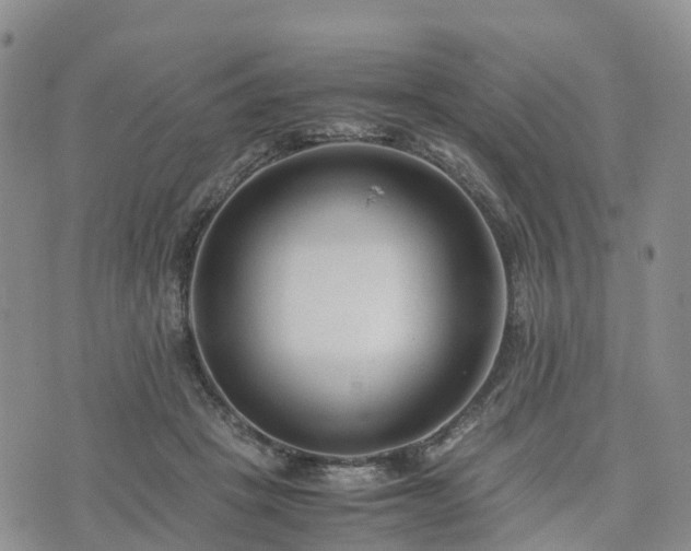 X0000074330457200609011607