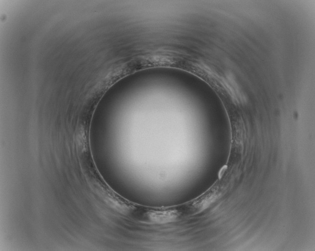 X0000074330465200609011607