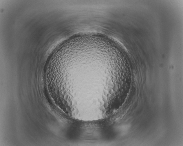X0000074330487200609011606