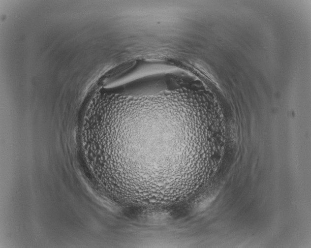X0000074330491200609011606