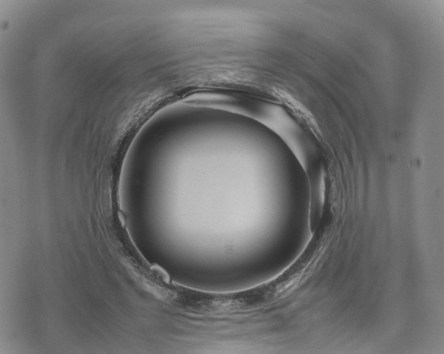 X0000074330493200609011606