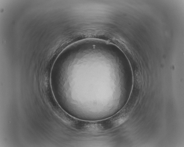 X0000074330499200609011606