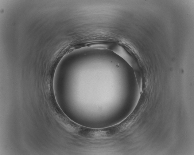 X0000074330501200609011606