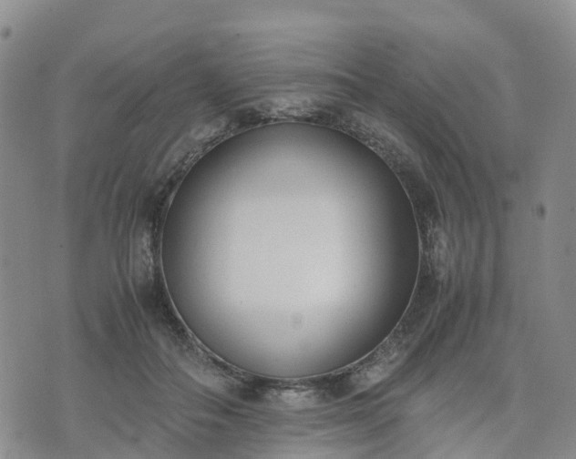 X0000074330506200609011606