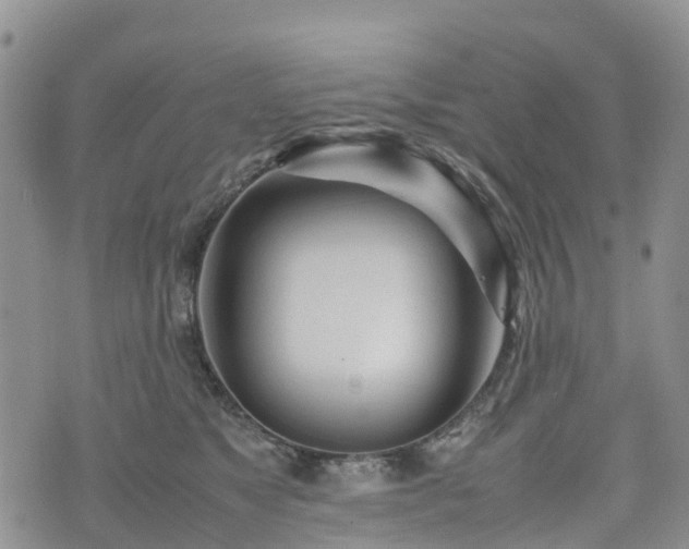X0000074330517200609011606
