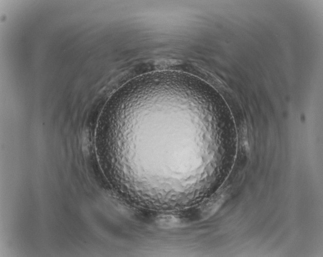 X0000074330519200609011606