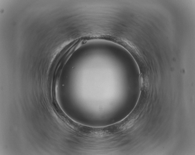 X0000074330540200609011605