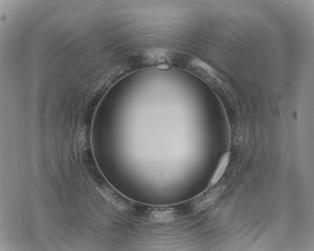X0000074330560200609011605