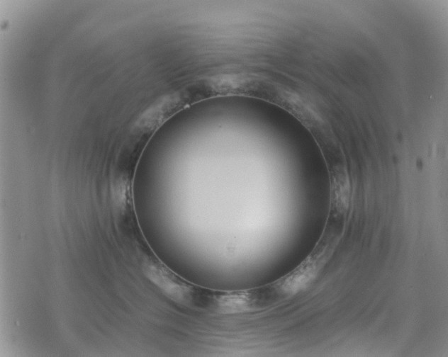 X0000074330574200609011606