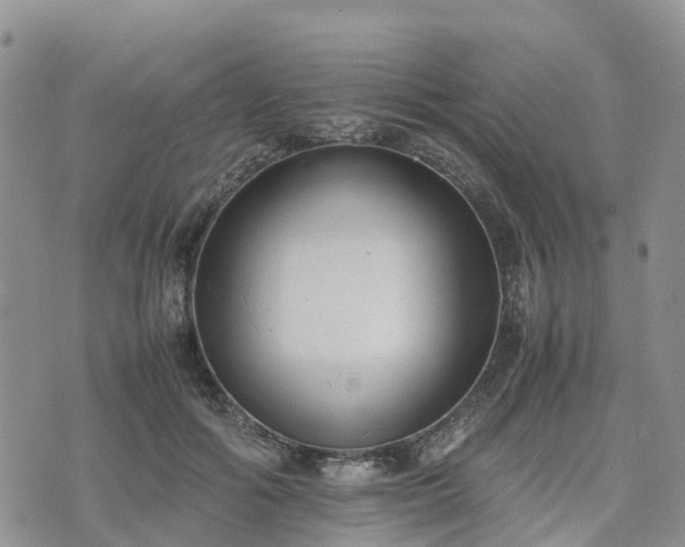 X0000074330602200609011604