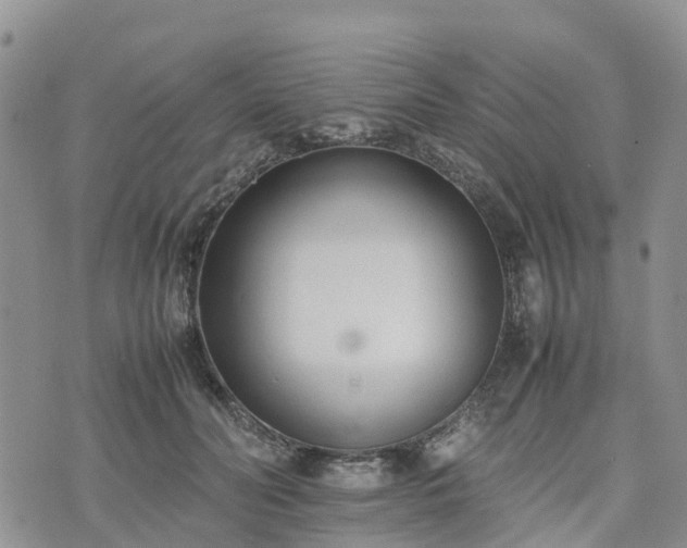 X0000074330606200609011604
