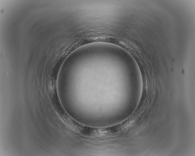X0000074330607200609011604