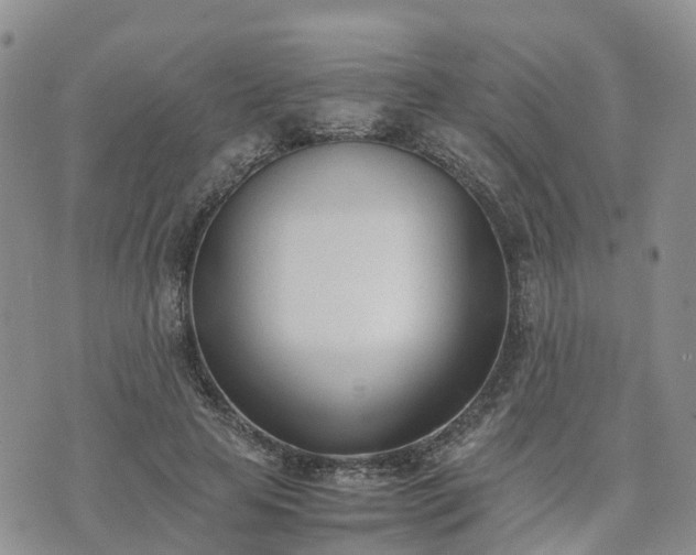 X0000074330641200609011604