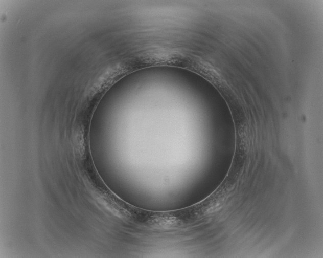 X0000074330642200609011604