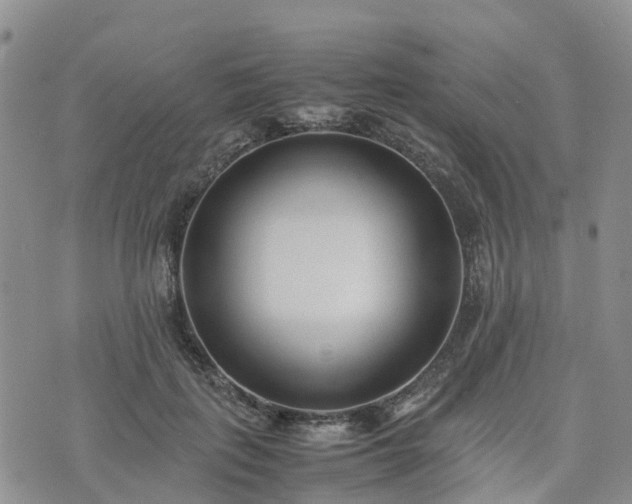 X0000074330651200609011604