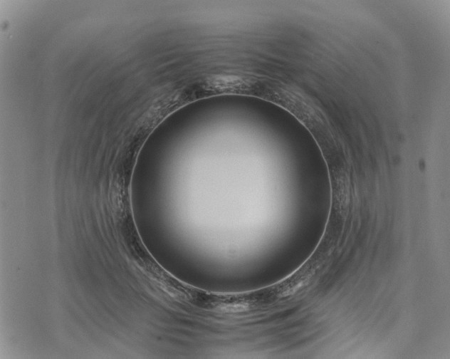 X0000074330653200609011604