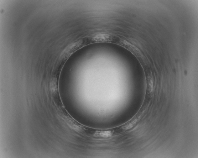 X0000074330665200609011604