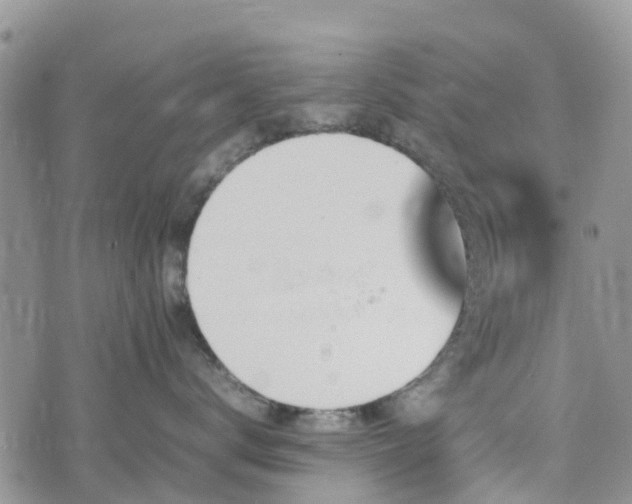 X0000074330672200609011604