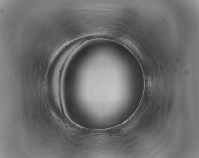 X0000074330676200609011603
