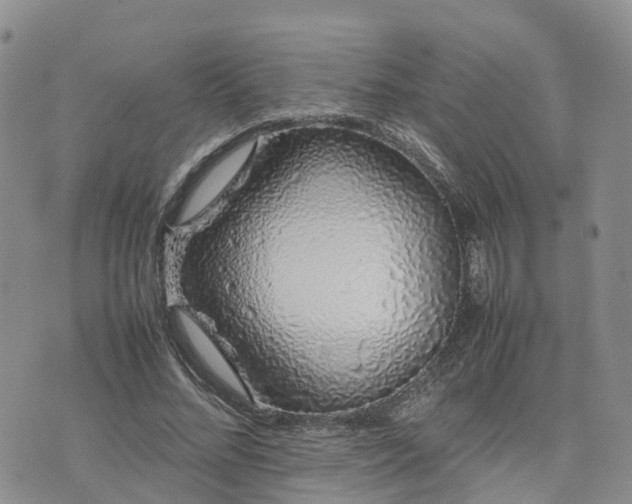 X0000074330684200609011603