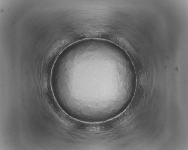 X0000074330687200609011603