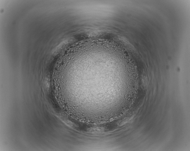 X0000074330691200609011603