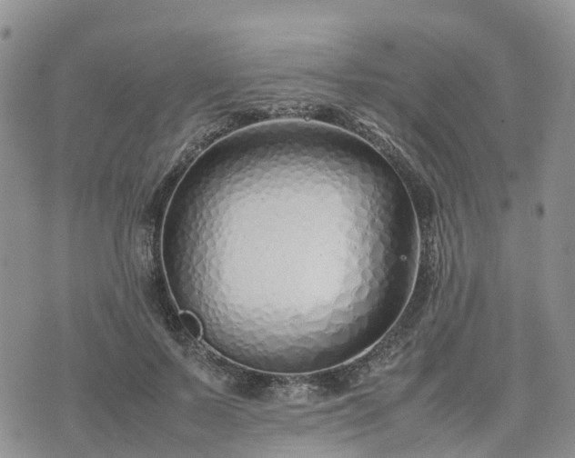 X0000074330695200609011603