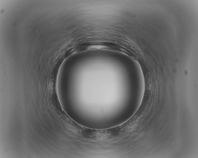 X0000074330697200609011603