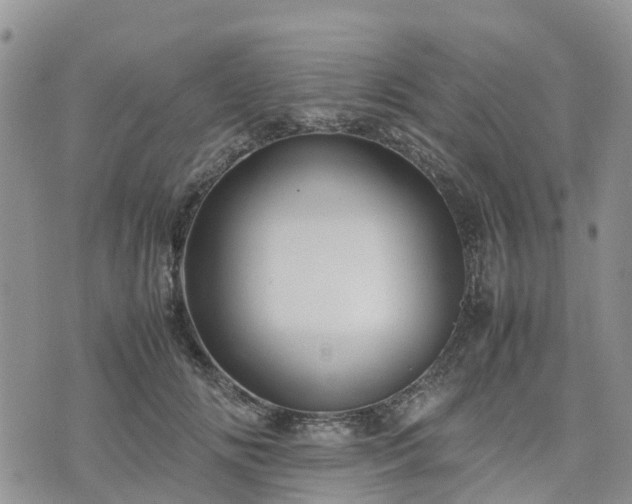 X0000074330702200609011603