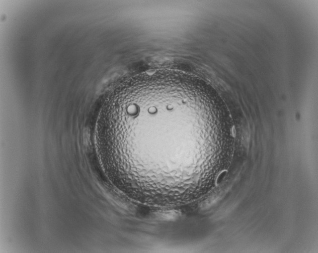 X0000074330711200609011603
