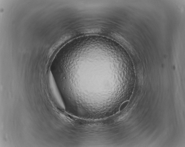 X0000074330721200609011602