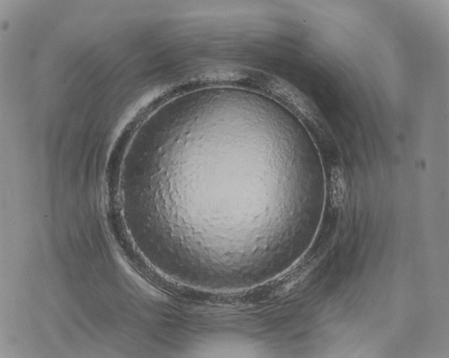 X0000074330726200609011602