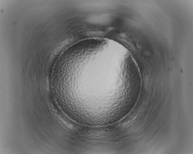 X0000074330729200609011602