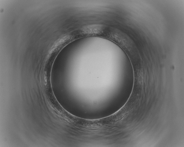 X0000074330731200609011602