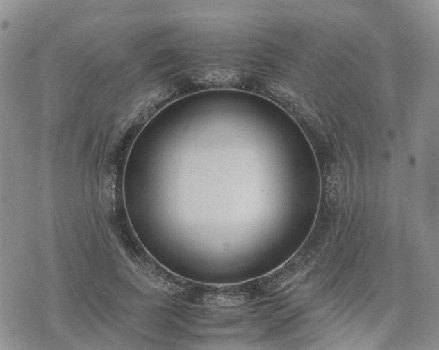 X0000074330739200609011602