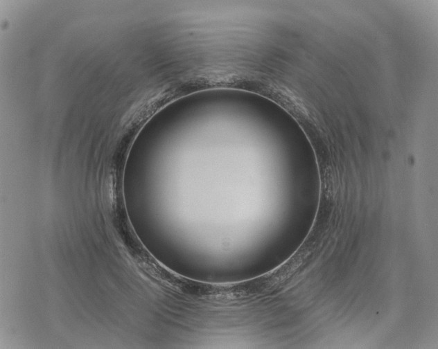 X0000074330740200609011602