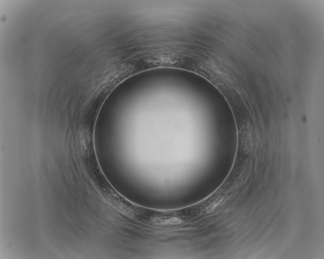 X0000074330747200609011602