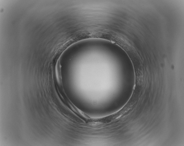 X0000074330748200609011602