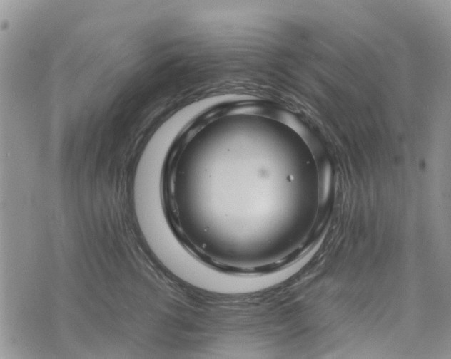 X0000074330762200609011602