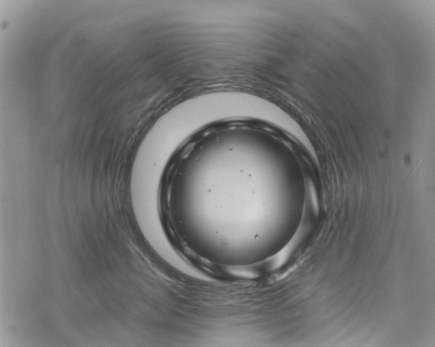 X0000074330764200609011602