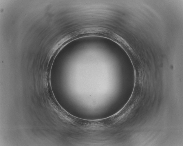 X0000074330786200609011601