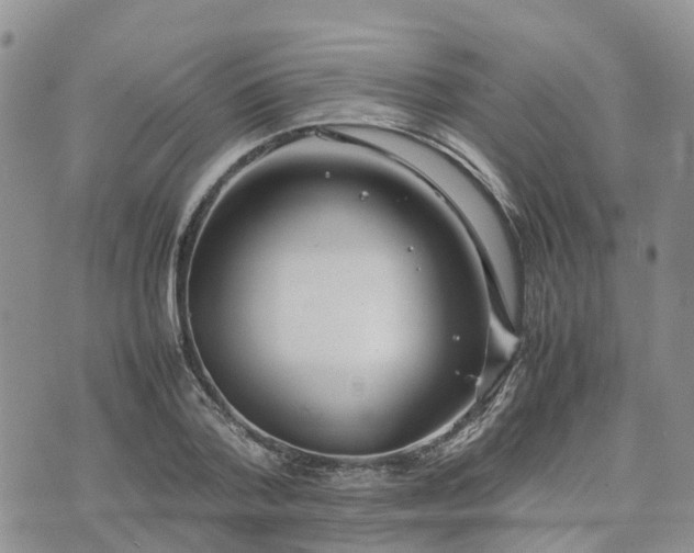 X0000074330788200609011601