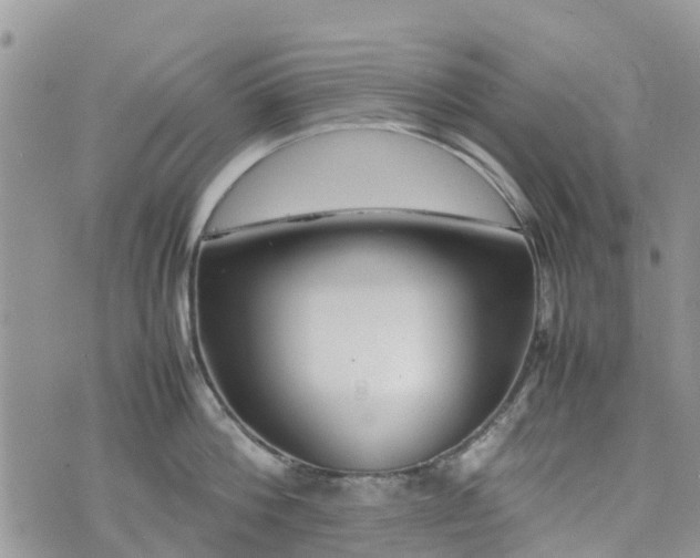 X0000074330812200609011601