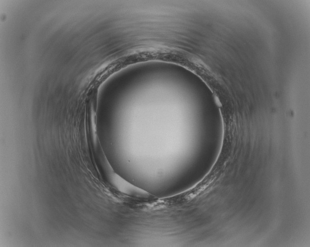 X0000074330822200609011600