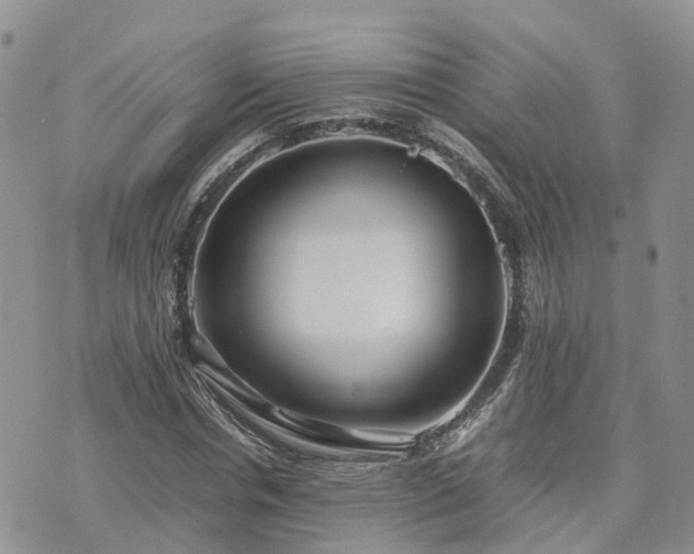 X0000074330826200609011600