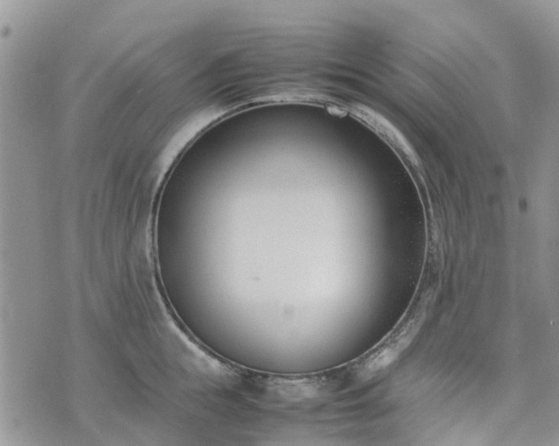 X0000074330855200609011601
