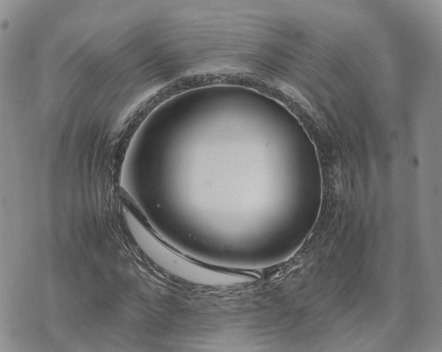 X0000074330872200609011600
