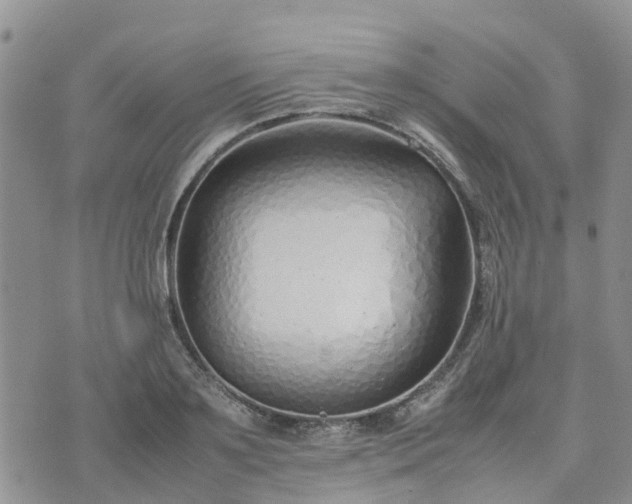 X0000074330891200609011600